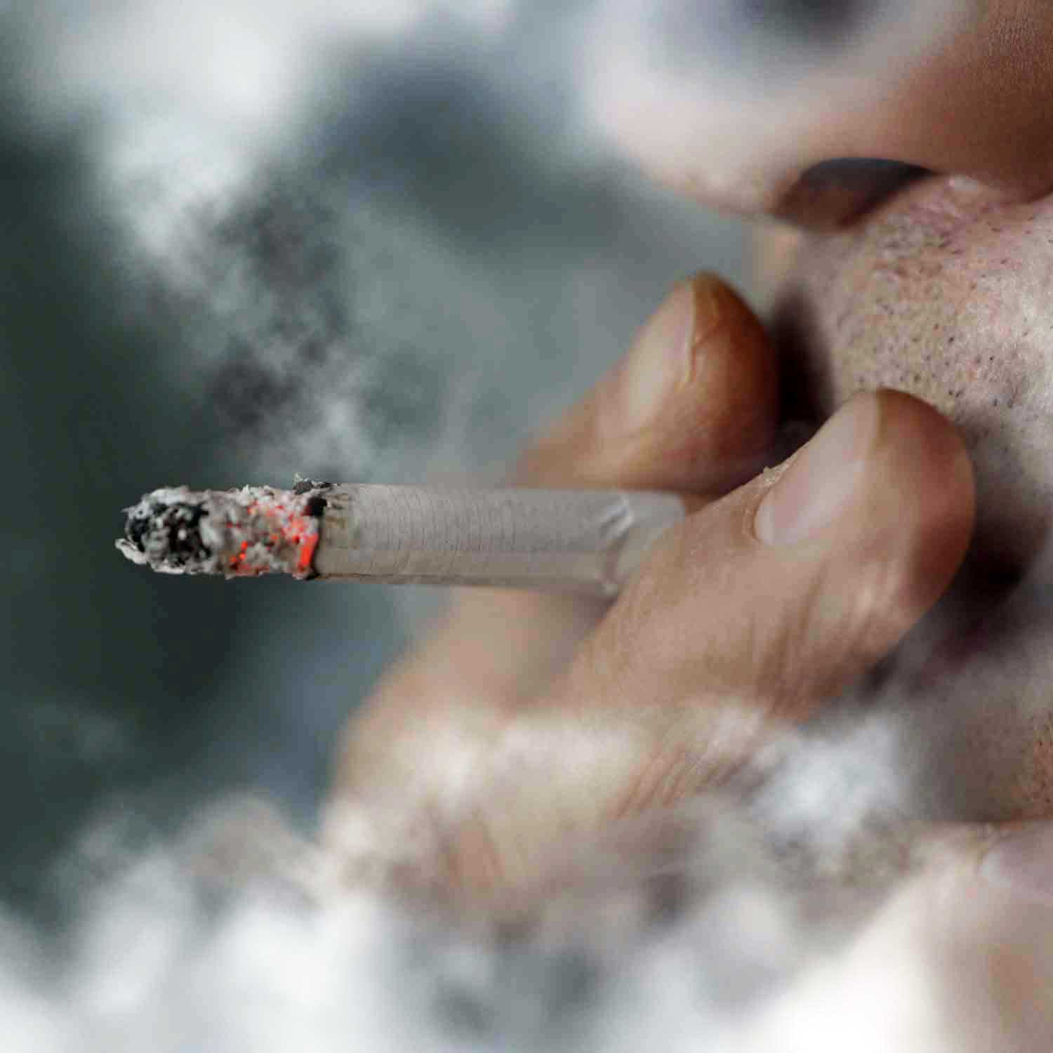 cigars versus cigarettes Are Cigars Better Than Cigarettes? – Vedikroots
